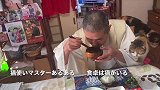 日本那须长乐寺的主持与猫咪的日常