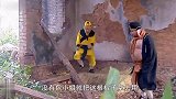 搞笑：孙悟空怒怼猪八戒，猪八戒太可爱了