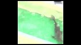 这个得分能力 日本代表锋线的确需要一只