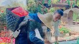 老奶奶又来客栈卖菜了，每次我都会全部买完，看她开心得像个孩子