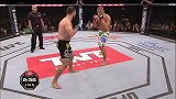 UFC-15年-UFC195自由格斗：阿尔洛夫斯基vs大脚席尔瓦-专题