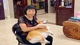 自从把狗狗带回家后，帅哥家庭地位直线下降，太惨了！