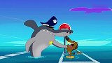 鲨鱼哥变身警察故意找茬鬣狗，给鬣狗身上贴了一大堆罚款单