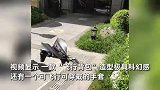 老爸辞职为娃自制“科幻战甲”，造型炫酷似走入未来世界惊呆网友