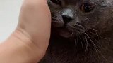 瞬间变瓜子脸ི
