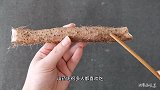 只要一根筷子山药去皮就这么简单！手不痒也不过敏，很多人不清楚