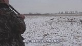 战斗民族大雪天捕获野生大雁，做成汉堡吃，味道非常不错