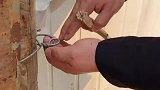 当老板遇到这样的员工，该如何抉择？