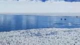 冰雪神韵，蓝冰之约赛里木湖旅游季