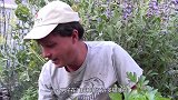 猫咪吸了猫薄荷之后，直接失去了控制，镜头全过程！