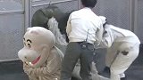 日本动物园演练河马出逃 画风惨遭吐槽：杂耍？