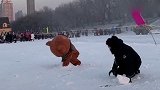 网红熊真是太会玩了，刚打完了雪仗，竟然又跑去逗弄汪星人