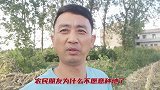 农民不愿种粮食，原因让人唏嘘，听听大叔的大实话