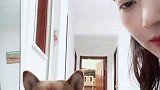 女子假装吃狗狗的食物在给狗狗，没想到狗狗竟然一脸嫌弃