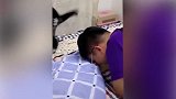 胖胖的猫咪坐在垃圾桶里,竟然还睡着了,看着还一副舒服地样子!