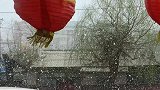 你们看这大雪下的大不大就完了！