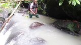 在小溪流中钓河鳗的精彩瞬间