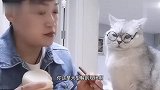 猫：我不化妆都比你好看，连个对象都没有还化呢