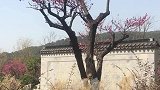 睡前原谅所有的人和事，醒来时便是快乐的一天。