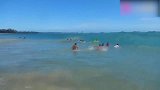 国外搞笑系列，看到扑面而来的海浪，外国人可吓坏了