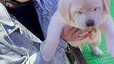 我的生活日记
