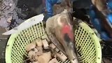 生长在海边的大哥，吃海味要吃它的灵魂