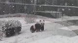 冰墩墩爱滑雪