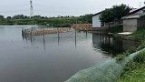 自从知道咸蛋可以这么腌，家里的盐就不够吃了，老公天天吵着要吃