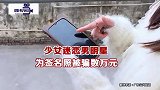 广东佛山：少女迷恋顶流男星，为求签名照转走”父母数万元