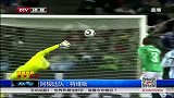 世界杯-14年-伊布贝尔领衔 那些遗憾错过世界杯的球星-新闻