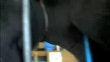 日本旅游-20111107-在日本农场的初次挤奶
