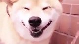 还有记得这个视频吗？