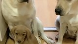 犯了错误还不让说