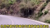 笑一笑十年少，爱笑的人运气不会差