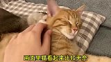 这也太可爱了，睡觉也要抱着猫，好喜欢呀