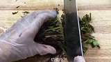 香椿是否直接焯水，试试这做法，鲜香酥脆，吃着超过瘾
