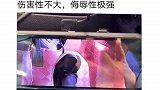 特斯拉车主的福音带你懂车