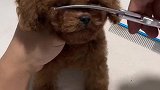 不知道的还以为你没眼睛呢