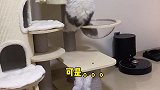 今天又是冬老师给端午上了一课。