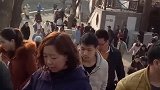 这里可真是热闹，大美涉县欢迎您