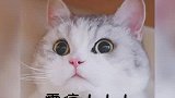这消息谁看了不说一声”哇喔“#陈飞宇 #娱乐评论大赏