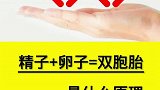 你懂了吗？就女的双胞胎