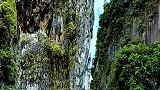 在桂林发现一颗大白菜，原来是漂浮在水面上的石头，太神奇了
