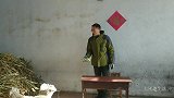 小羊也爱吃水果，香蕉吃急了，给小山羊二宝噎够呛