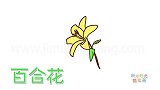 植物简笔画大全，画一朵黄色的百合花简笔画