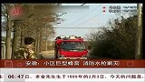 安徽：小区巨型蜂窝 消防水枪剿灭