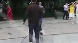 大爷就是大爷！不就是舞伴么，难不倒你大爷