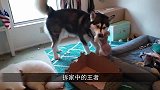 最心机的谋杀！要不是监控拍下全过程，很难相信这是真的！