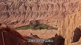 中国将一块废地变废为宝，西方国家为之眼红，美国：求合作！