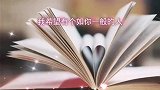 我希望遇到一个如你一般的人